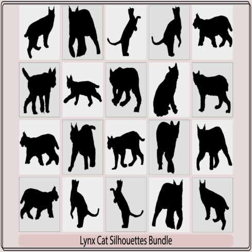 vector abstract lynx cat head logo,Wild cats collection vector silhouette,Vector silhouette of the Lynx cover image.