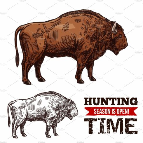 Hunting vector sketch buffalo cover image.