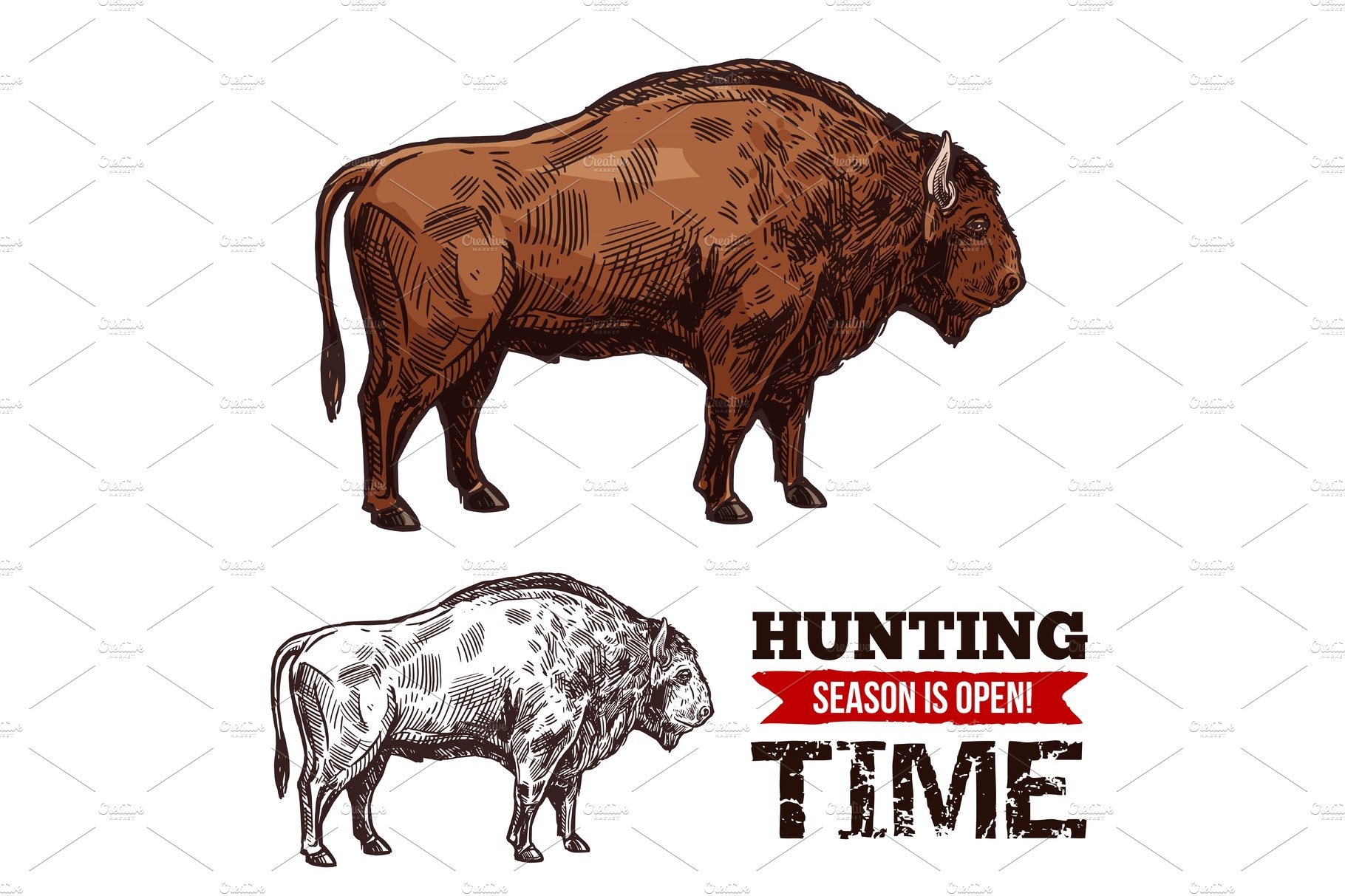 Hunting vector sketch buffalo cover image.