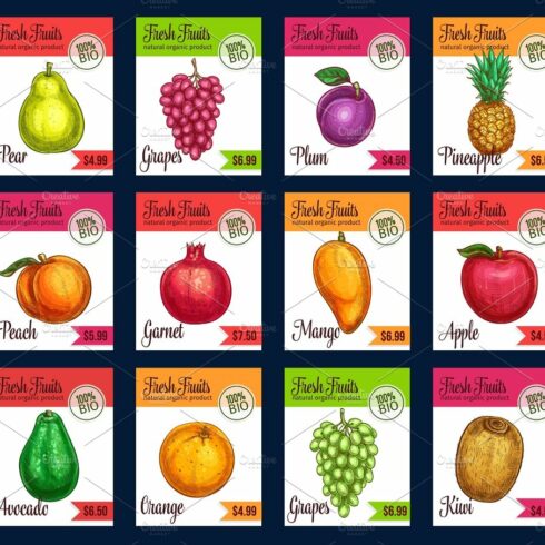 Vector price cards of sketch tropical exotic fruits cover image.