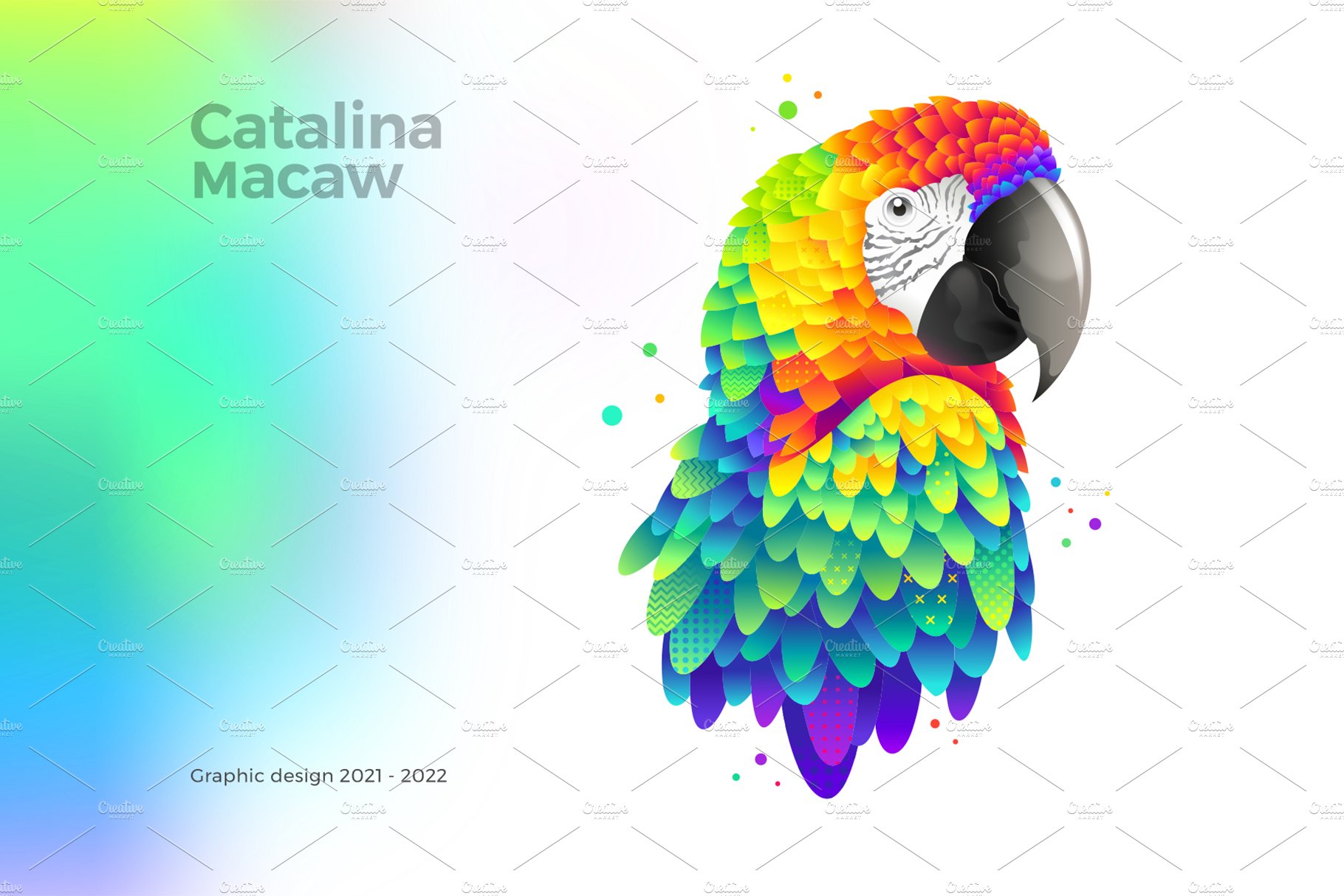 macaw 1 563