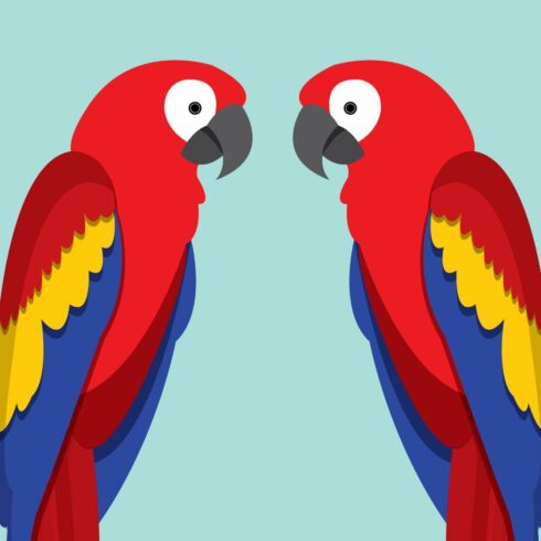 macaw/parrot vector cover image.