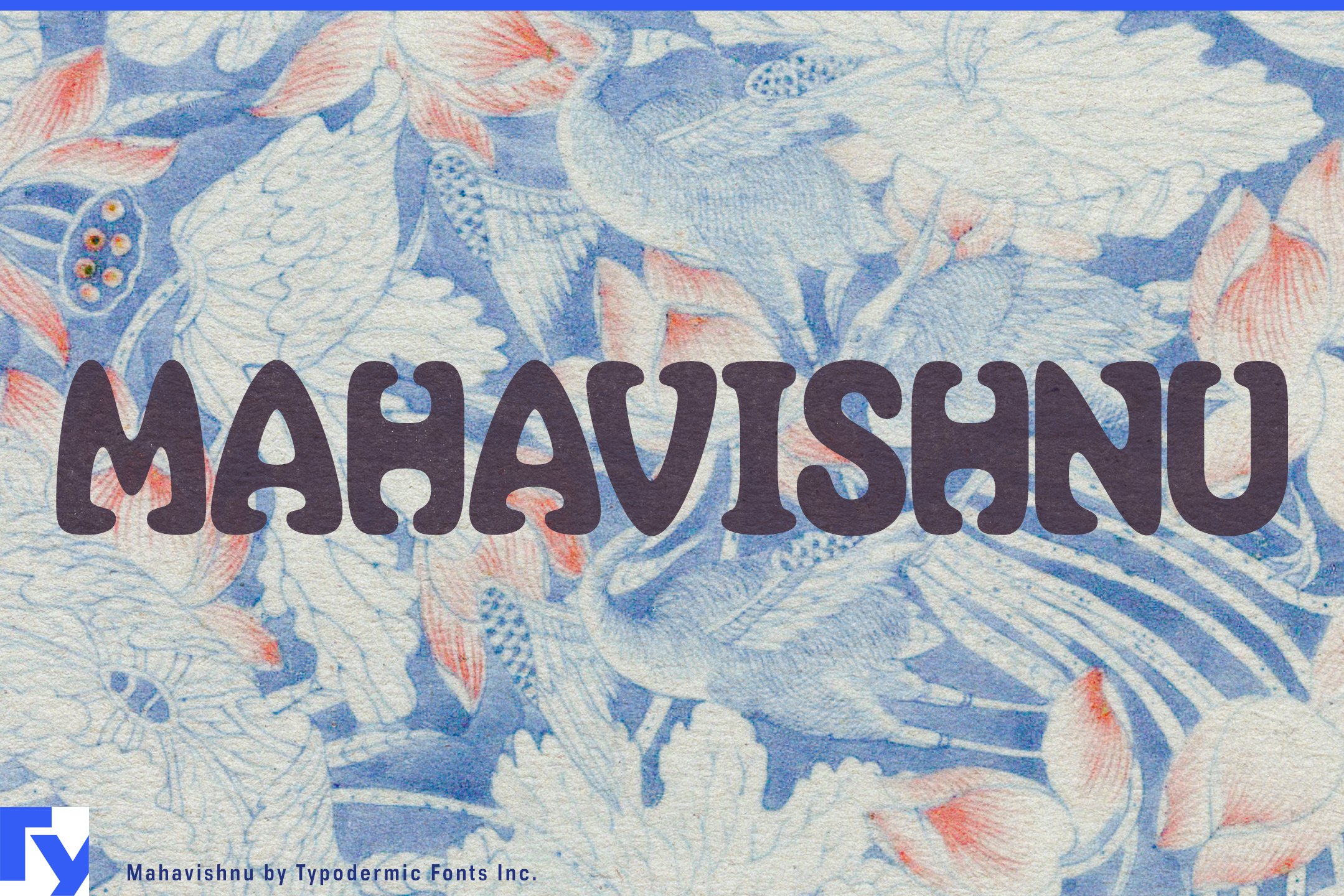 Mahavishnu cover image.