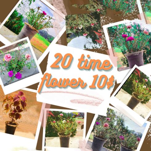 time flower bundle 20 photos 10$ cover image.