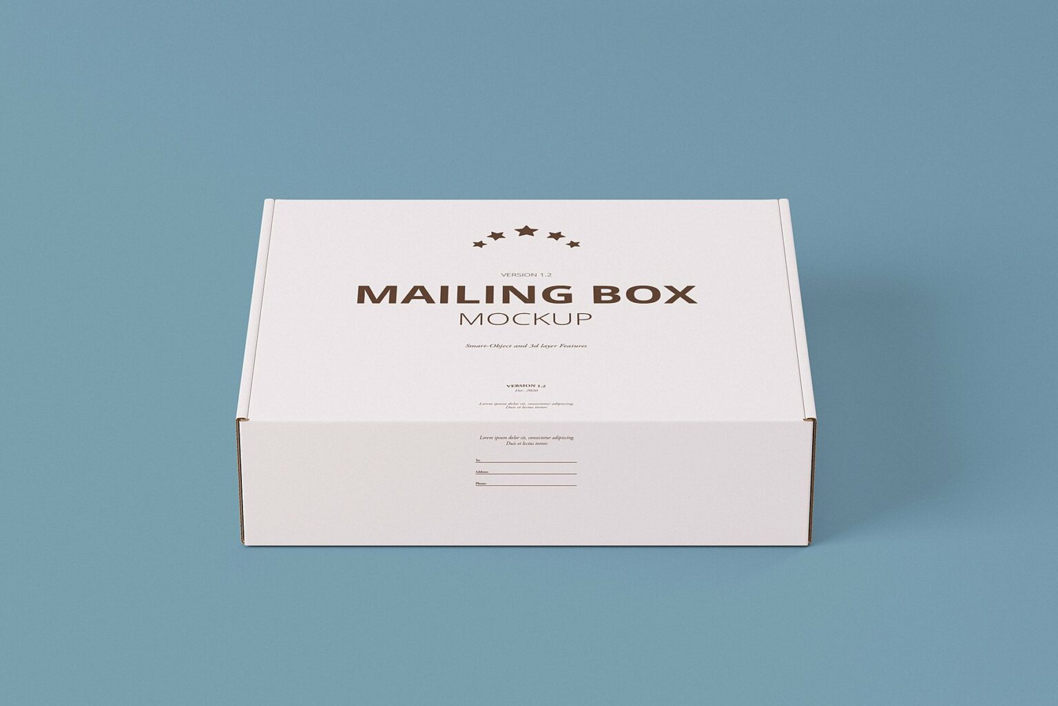 Shipping Mailing Box Mock Up Masterbundles