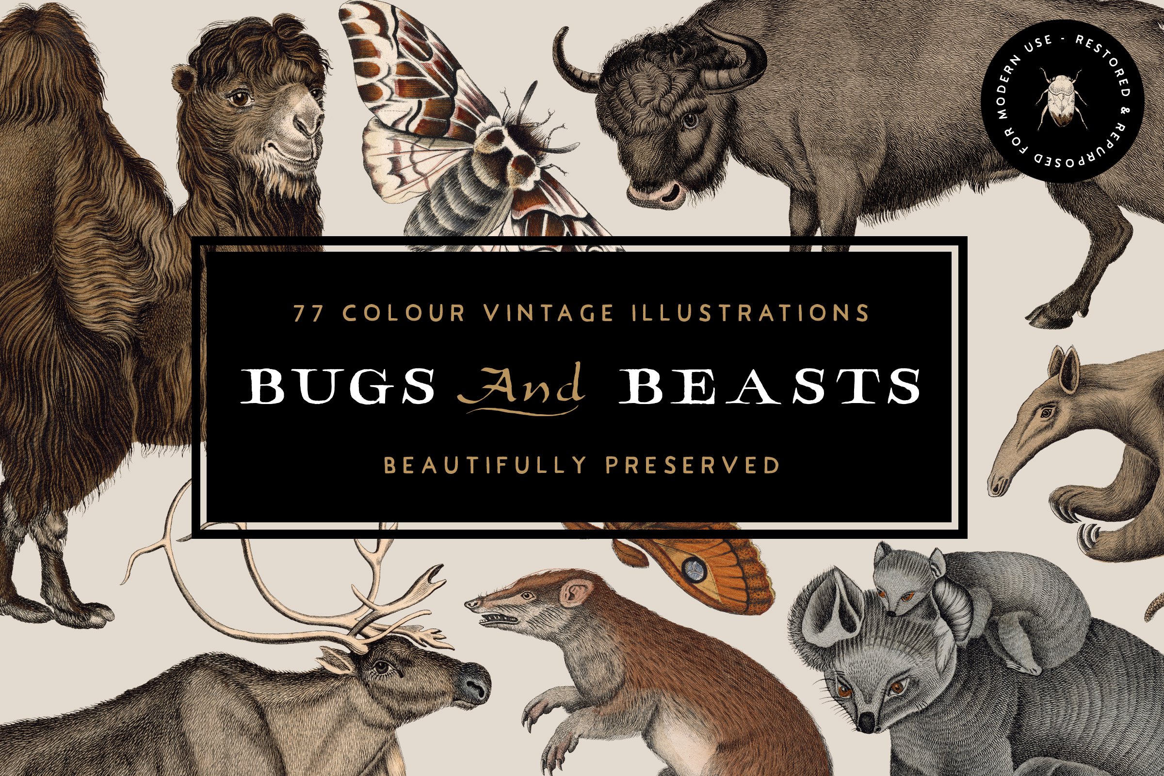 77 Bugs 'n' Beasts - Animal Clipart cover image.