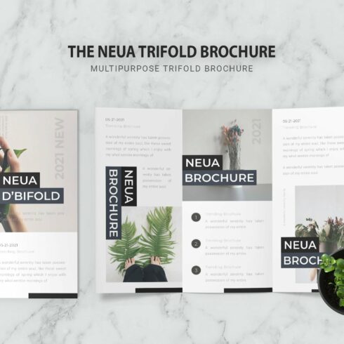 Neua Trifold Brochure cover image.