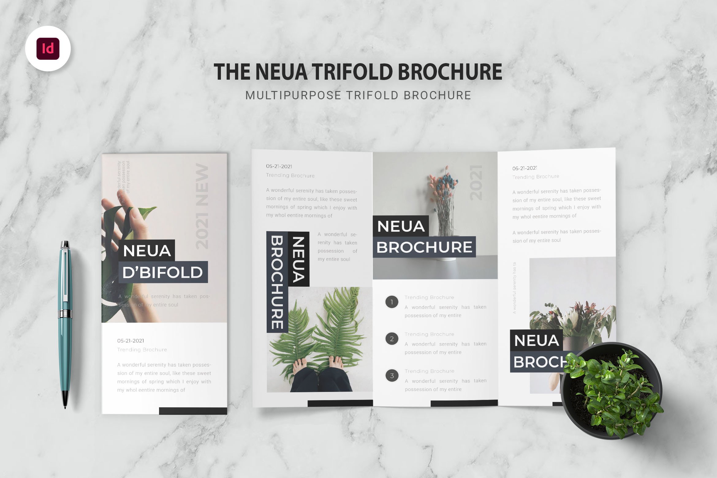 Neua Trifold Brochure cover image.