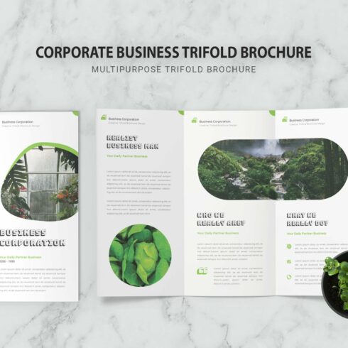 Corporate Business Trifold Brochure cover image.