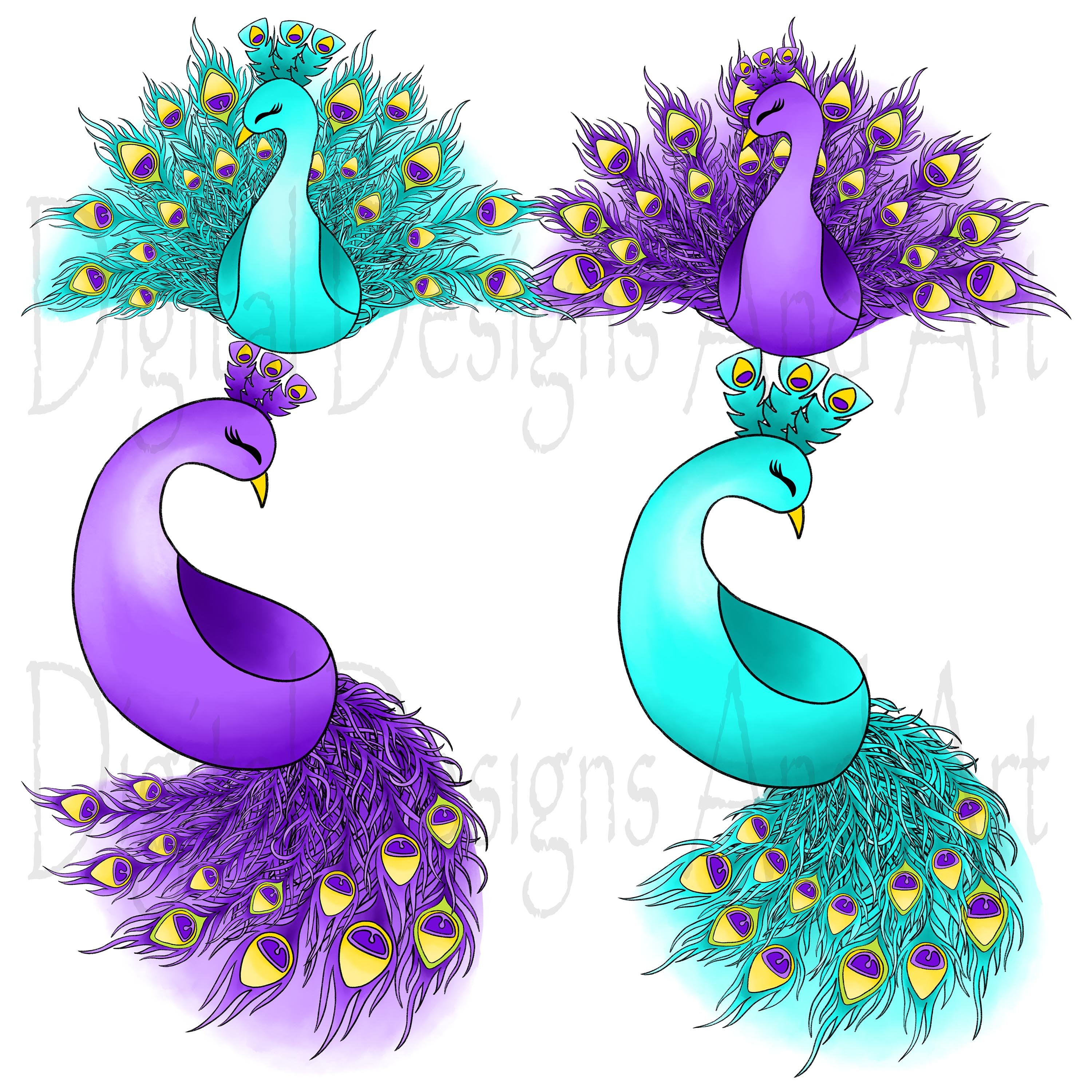 Peacock clipart preview image.