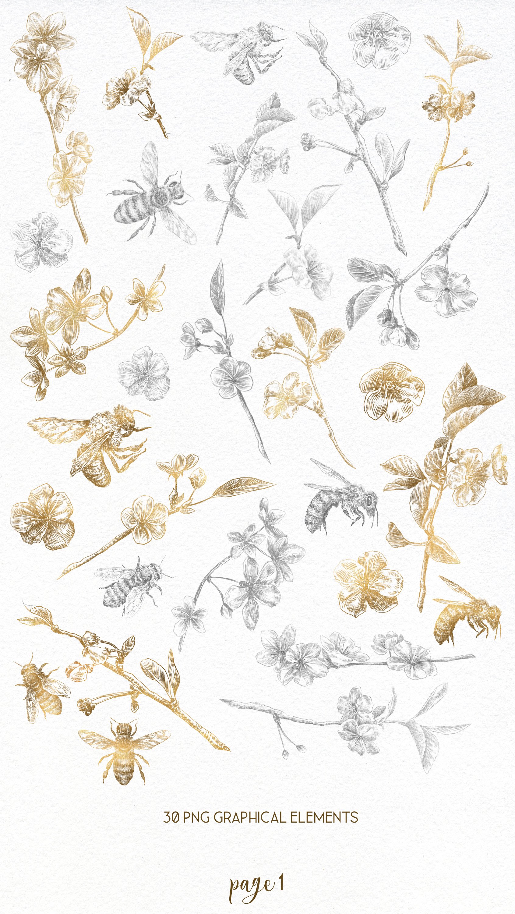 Floral fine art, bee pencil drawing preview image.