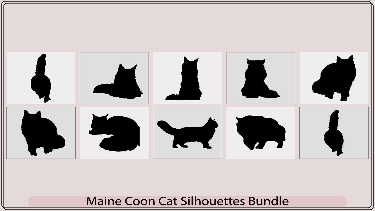 maine coon cat silhouettemb add media 745