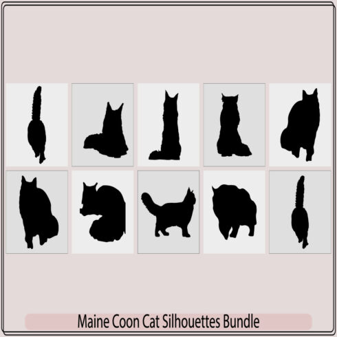 Cat silhouettes,Maine Coon cat icons and silhouettes,Sitting Maine Coon Cat Felis Catus On a Front View Silhouette, cover image.