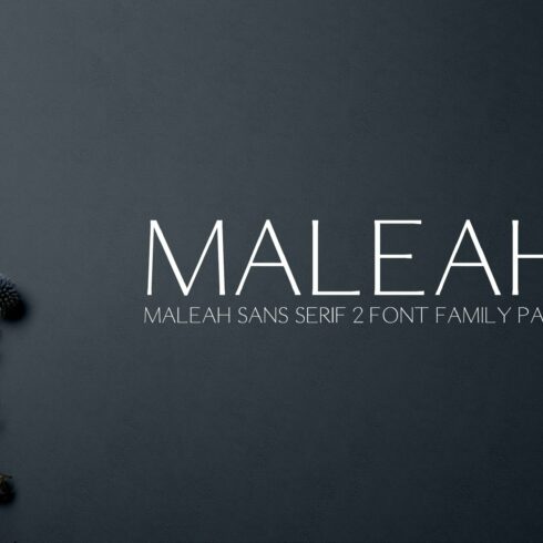 Maleah Sans Serif 4 Font Family Pack cover image.