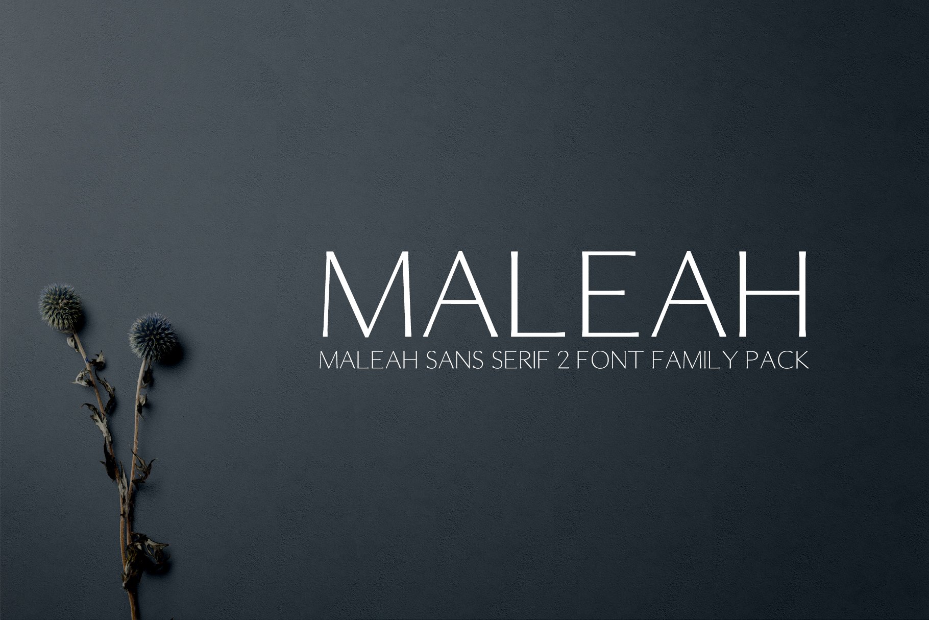 Maleah Sans Serif 4 Font Family Pack cover image.