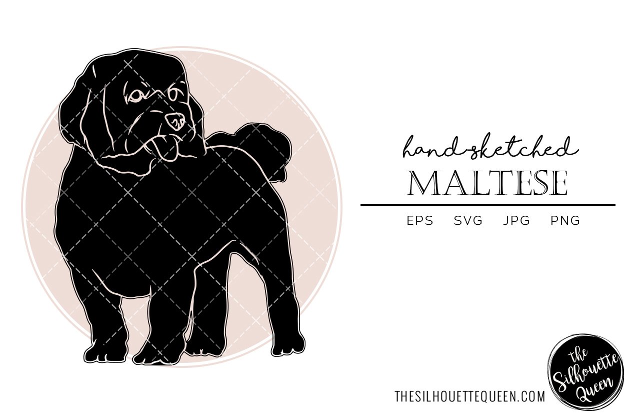 Maltese Sketch cover image.