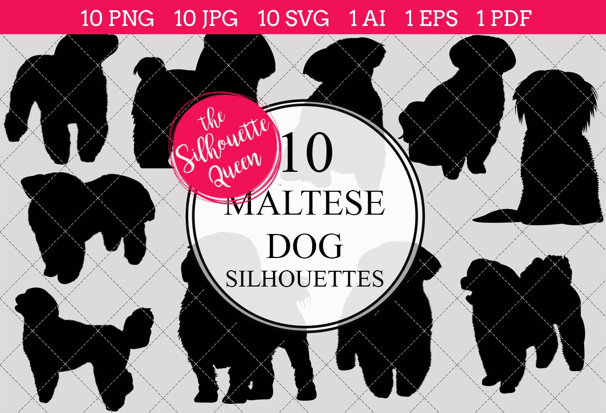 Maltese Dog silhouette vector cover image.