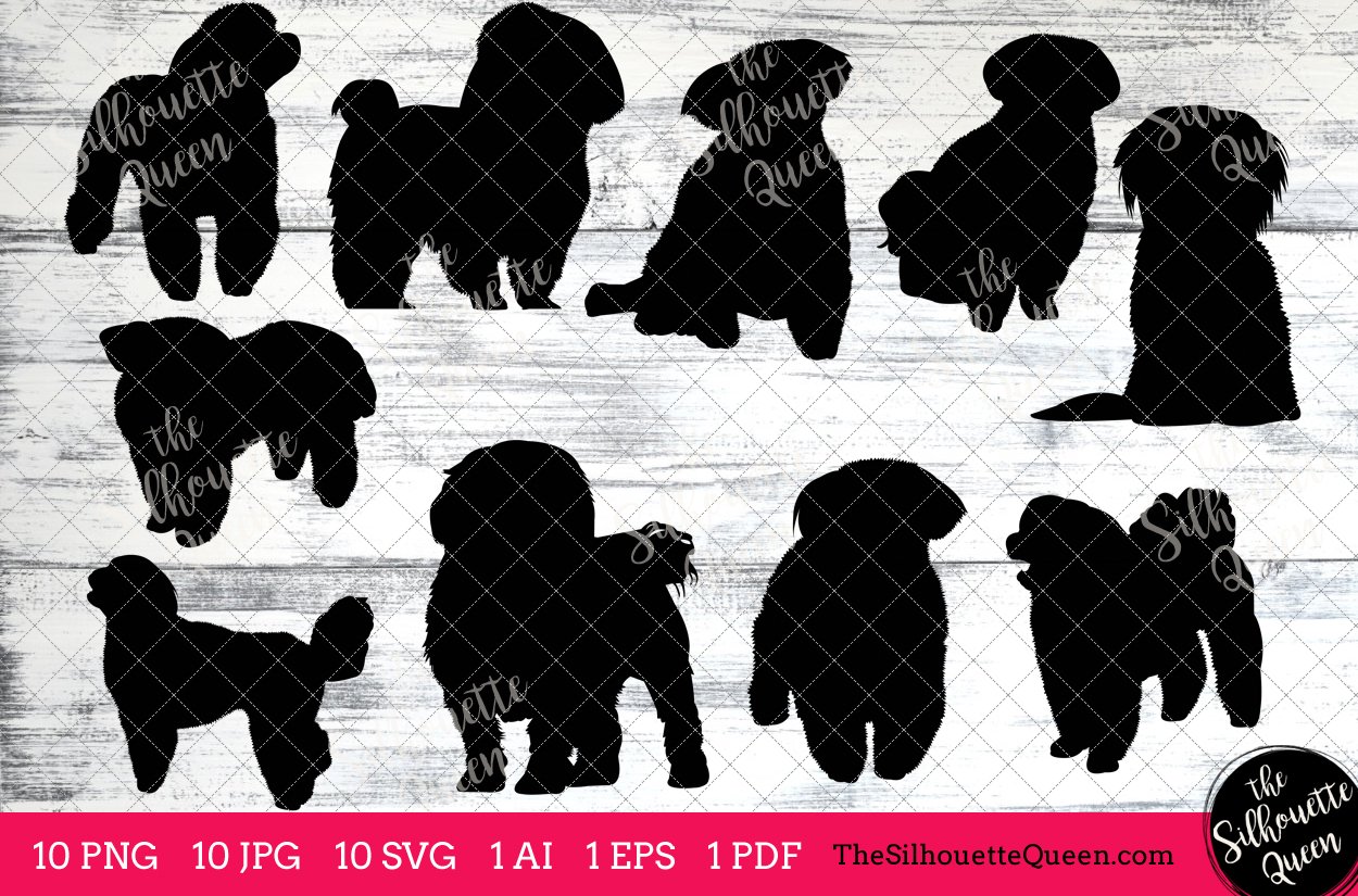 Maltese Dog silhouette vector preview image.