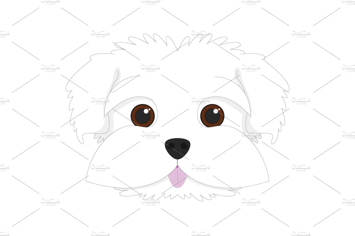 Maltese dog Vector Illustration cover image.