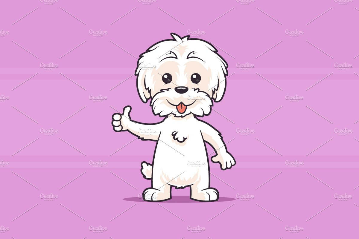 Maltese Puppy cover image.
