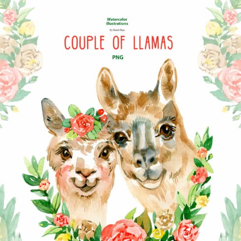 Watercolor llama couple clipart cover image.