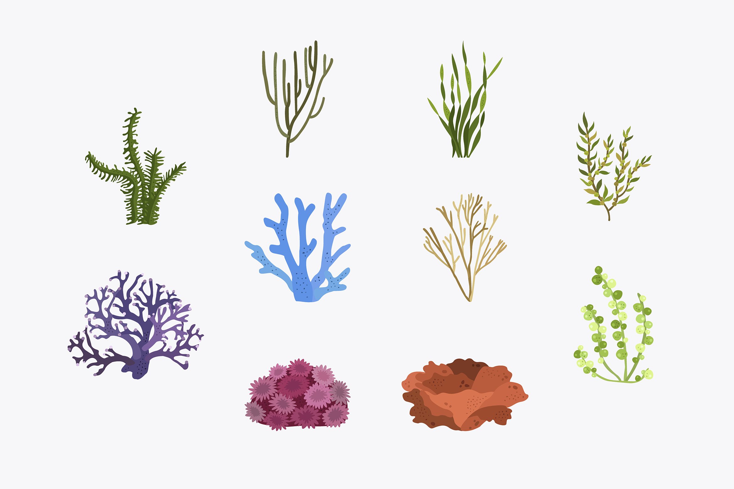 Underwater Creatures. | Underwater painting, Underwater drawing, Sea  creatures art
