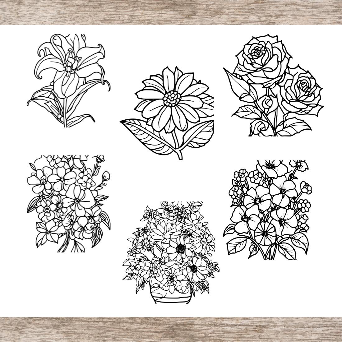6 Floral Coloring Pages with For Adults (SVG and PNG) flower drawing sketch preview image.