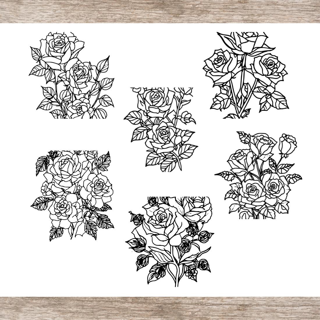 6 Rose Drawing Floral Coloring Pages with butterflies For Adults (SVG and PNG) preview image.