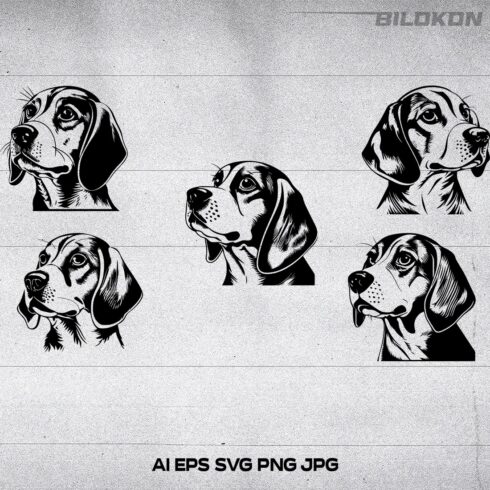 Beagle head, SVG, Vector cover image.