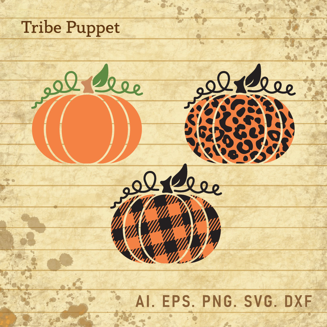Pumpkin cover image.