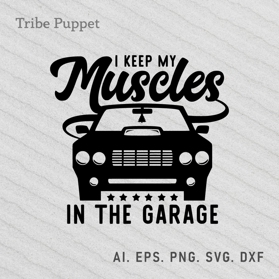 I keep my muscles in the garage preview image.