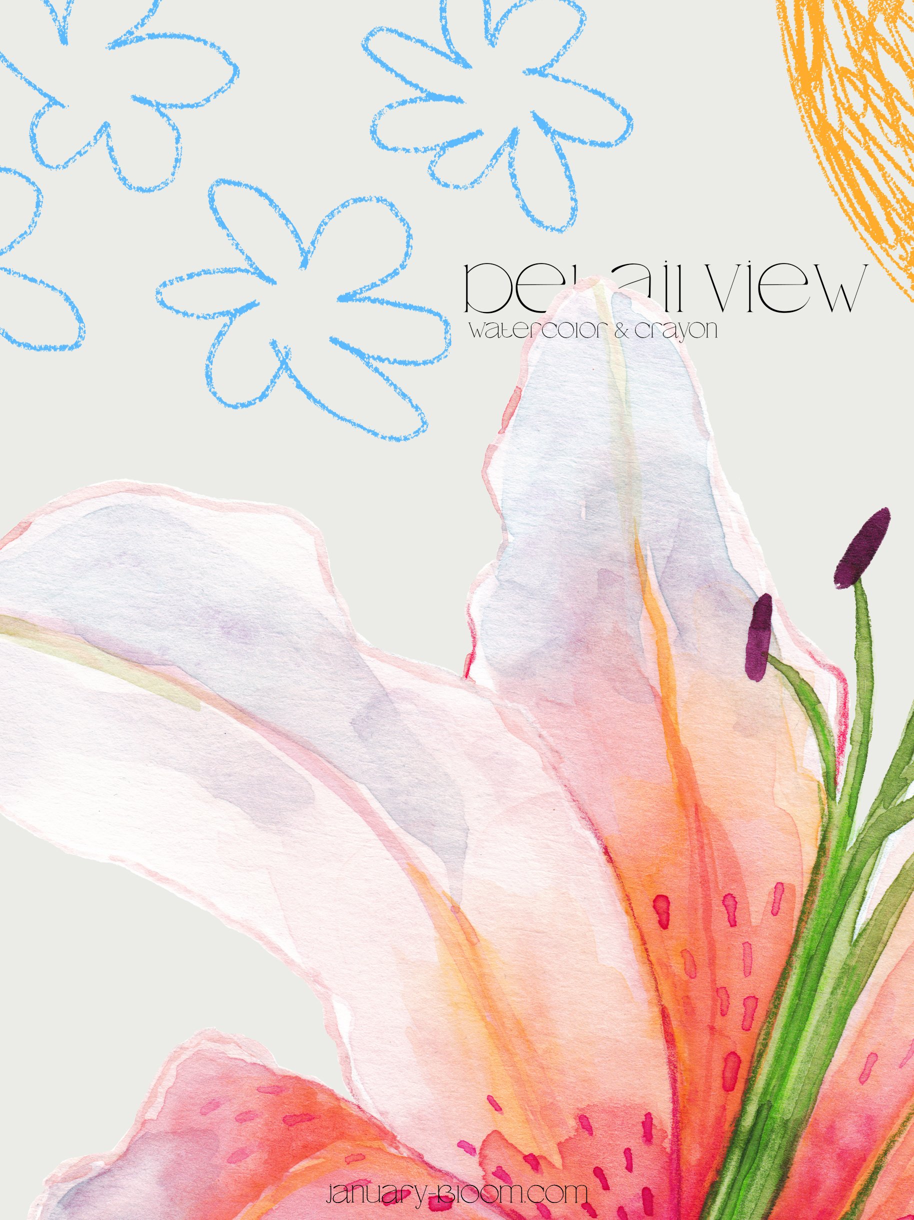 meadow bouquet floral watercolor clipart line art feminine body ana yvy january bloom anastazja szulc 10 91