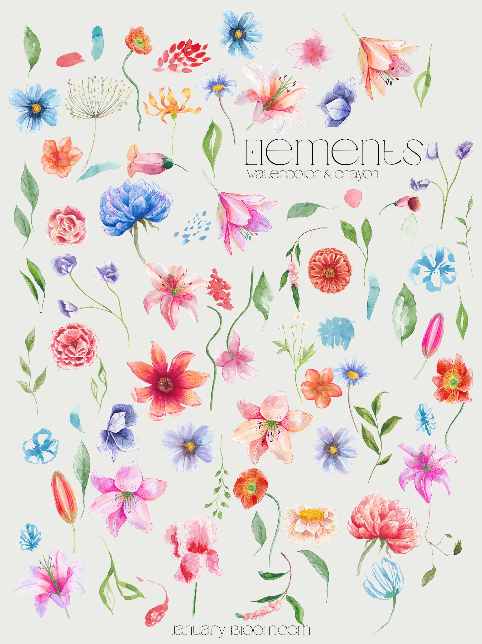 meadow bouquet floral watercolor clipart line art feminine body ana yvy january bloom anastazja szulc 6 370