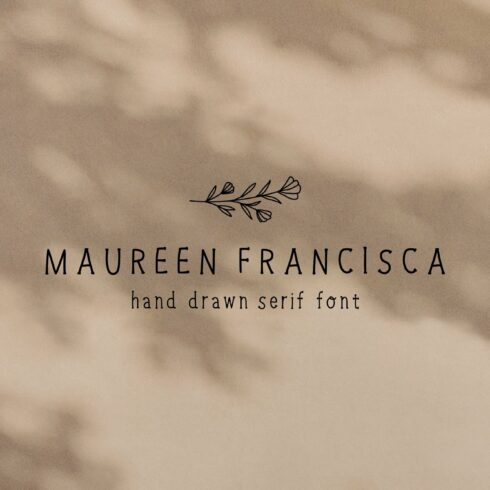 Hand Drawn Serif Font + Illustration cover image.