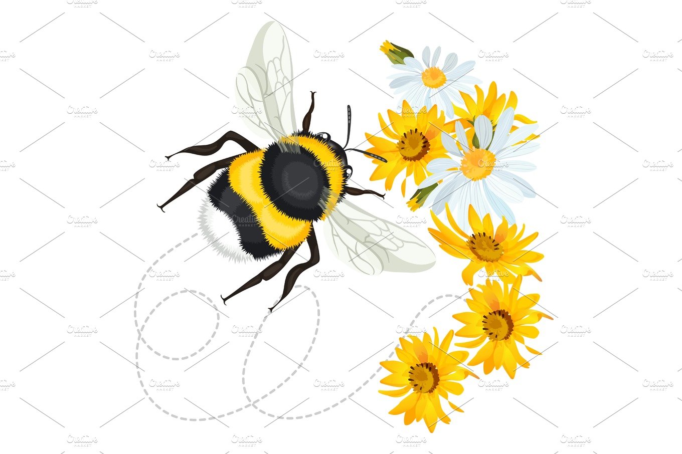 Bumblebee closeup head, trace swirled line on background arnica chamomile cover image.