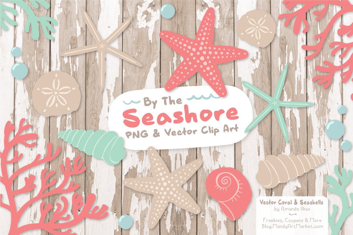 Seashells Clipart in Mint & Coral preview image.