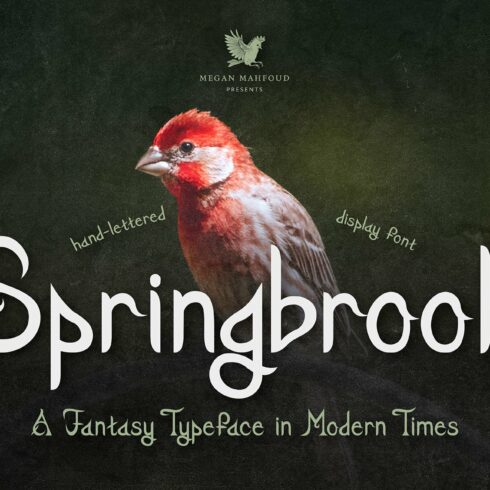 Springbrook - A Fantasy Typeface cover image.