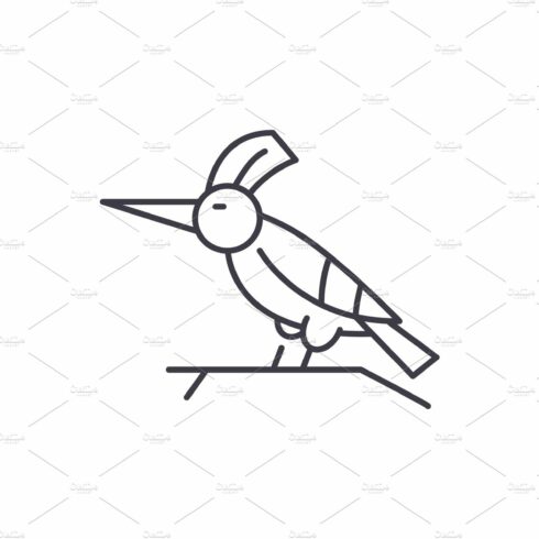 Woodpecker line icon concept cover image.