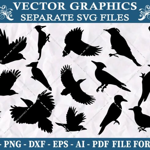 Woodpecker Bird  svg design bundle cover image.