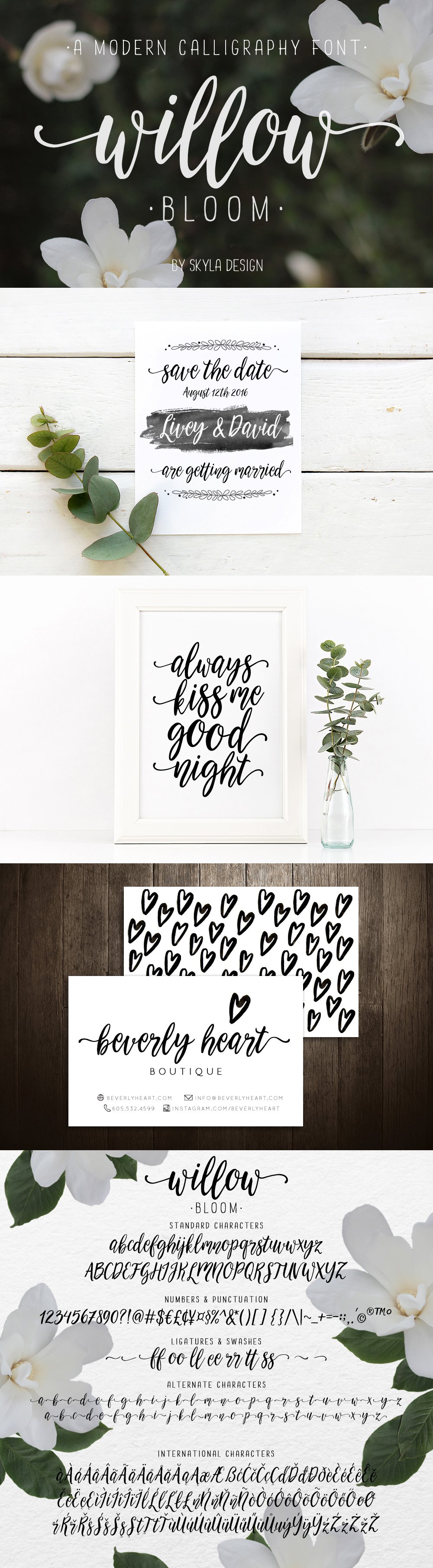 Willow Bloom modern calligraphy font cover image.