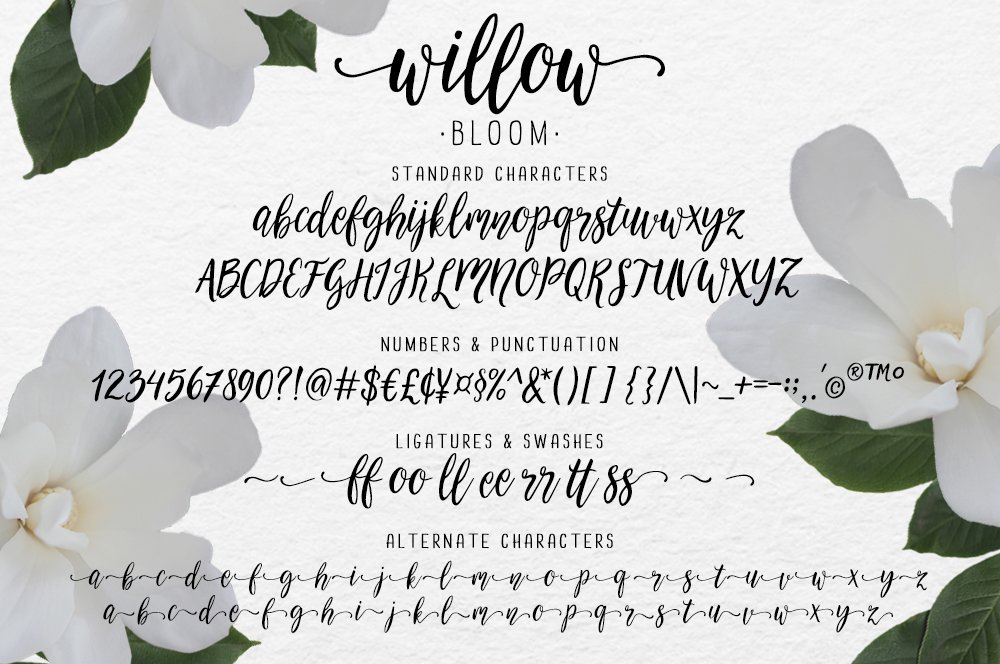modern brush calligraphy font wedding script willow bloom2x 459