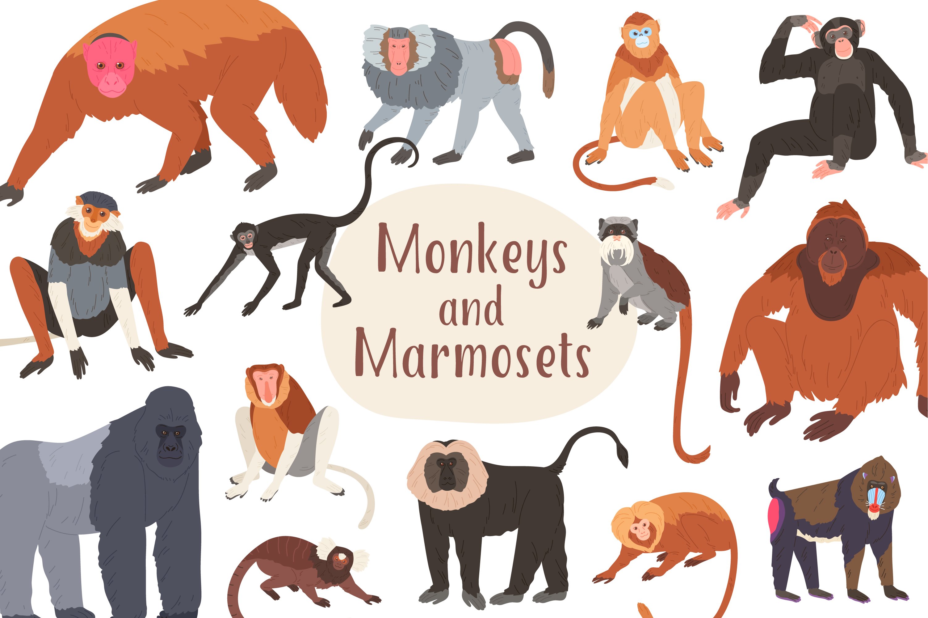 Monkey and marmoset collection cover image.