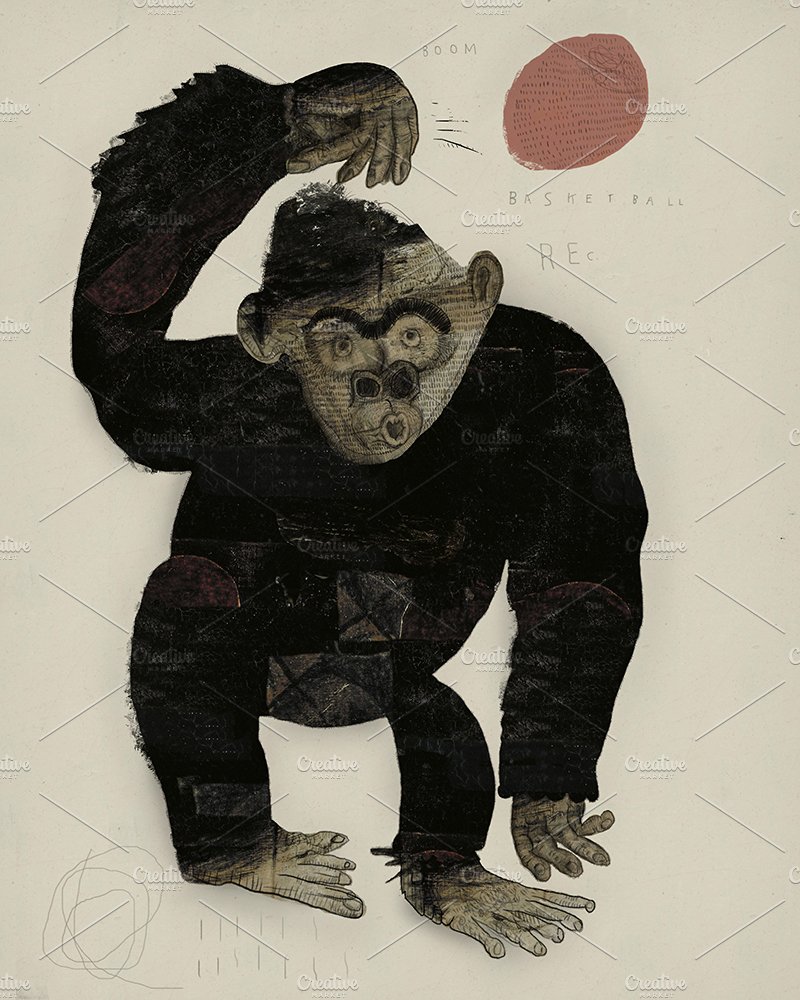 Monkey basketball cover image.
