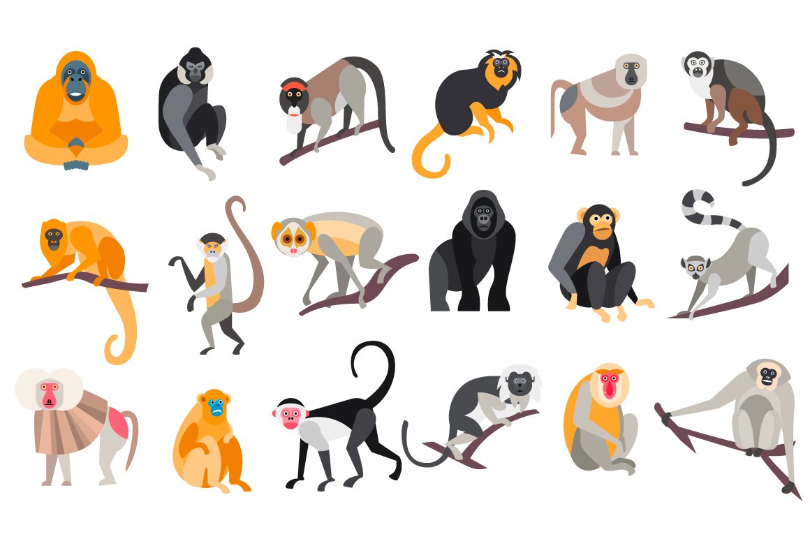 Set of Apes and Monkeys cover image.