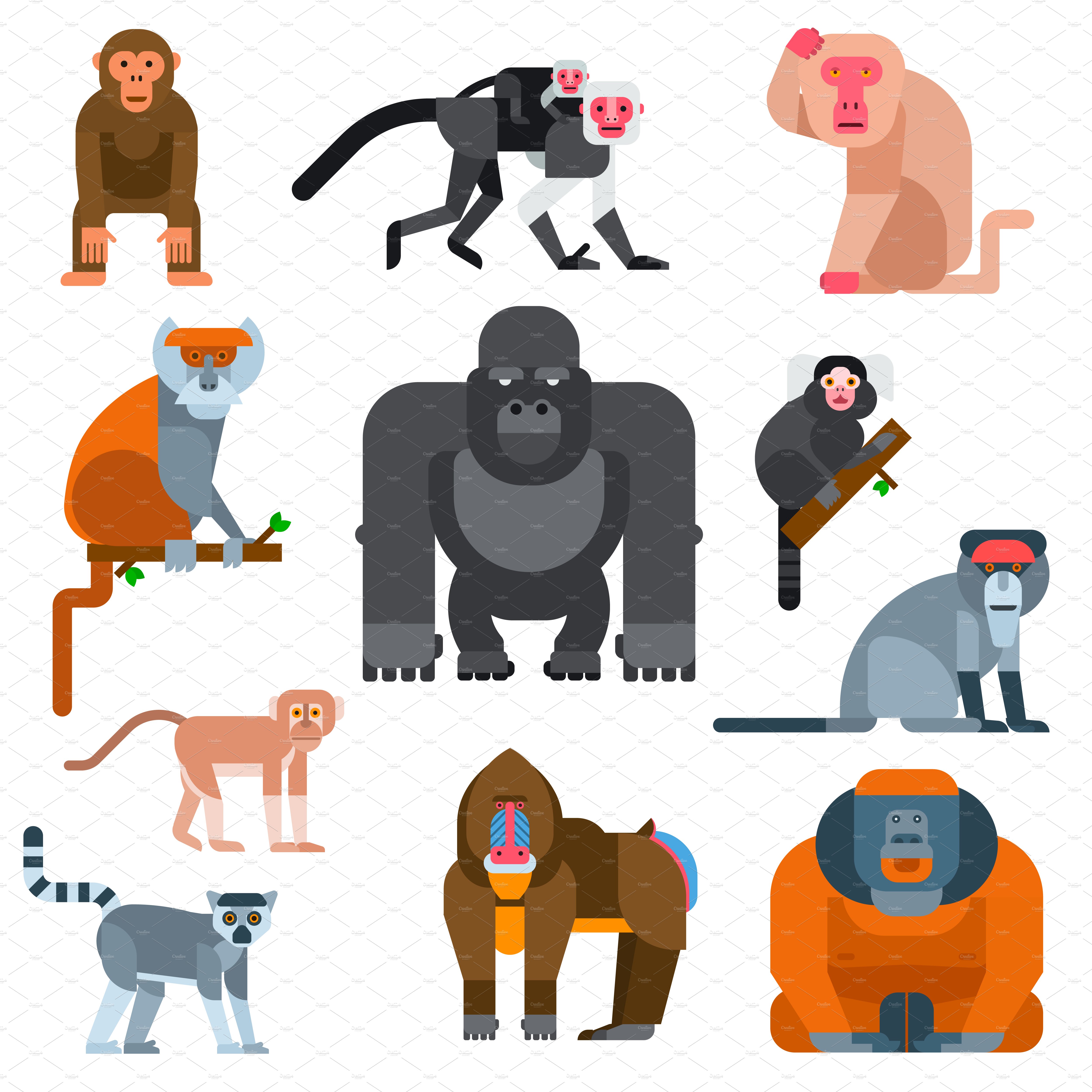 Monkey vector illustration cover image.