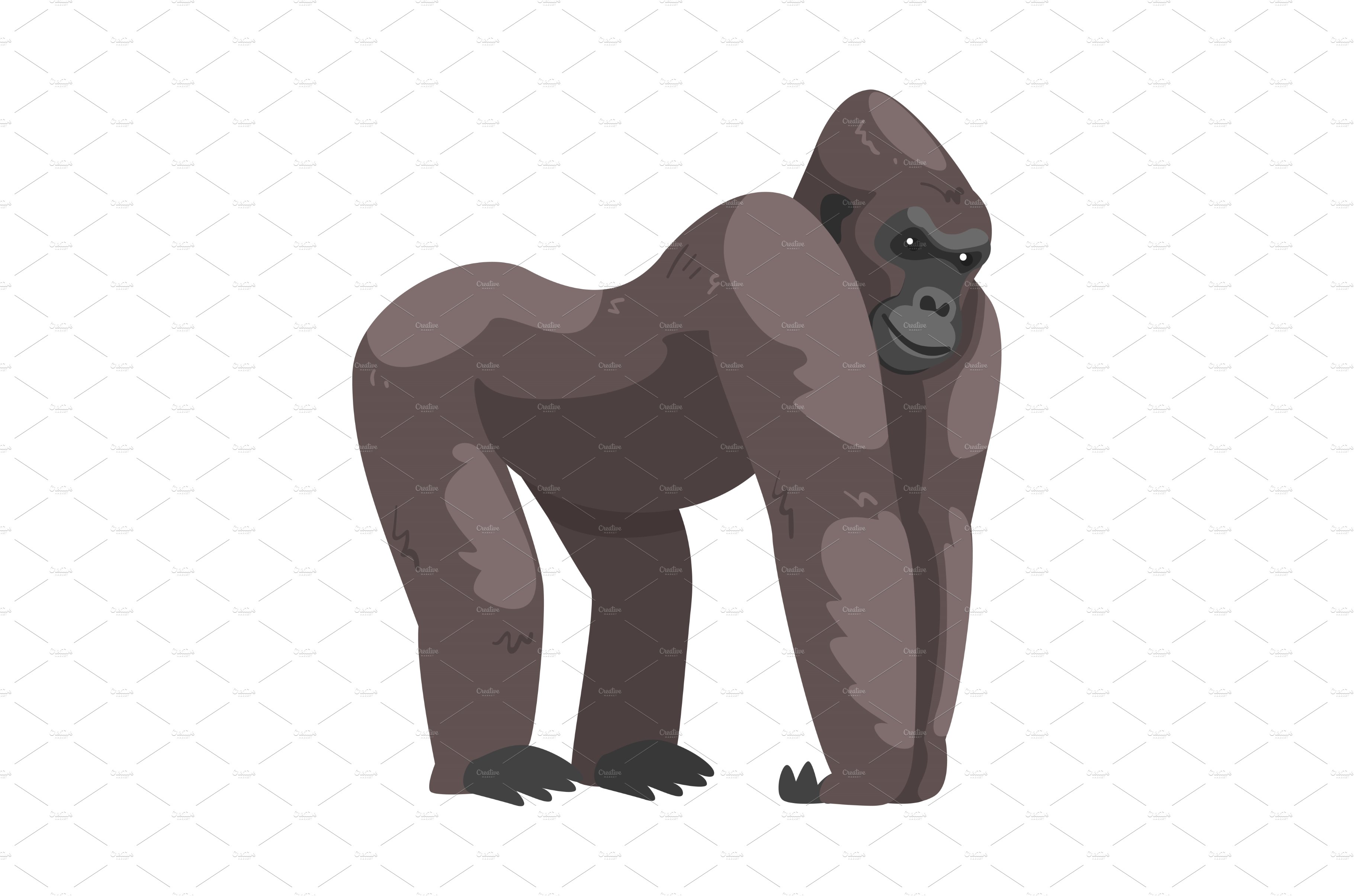 Gorilla Monkey as Ground-dwelling cover image.