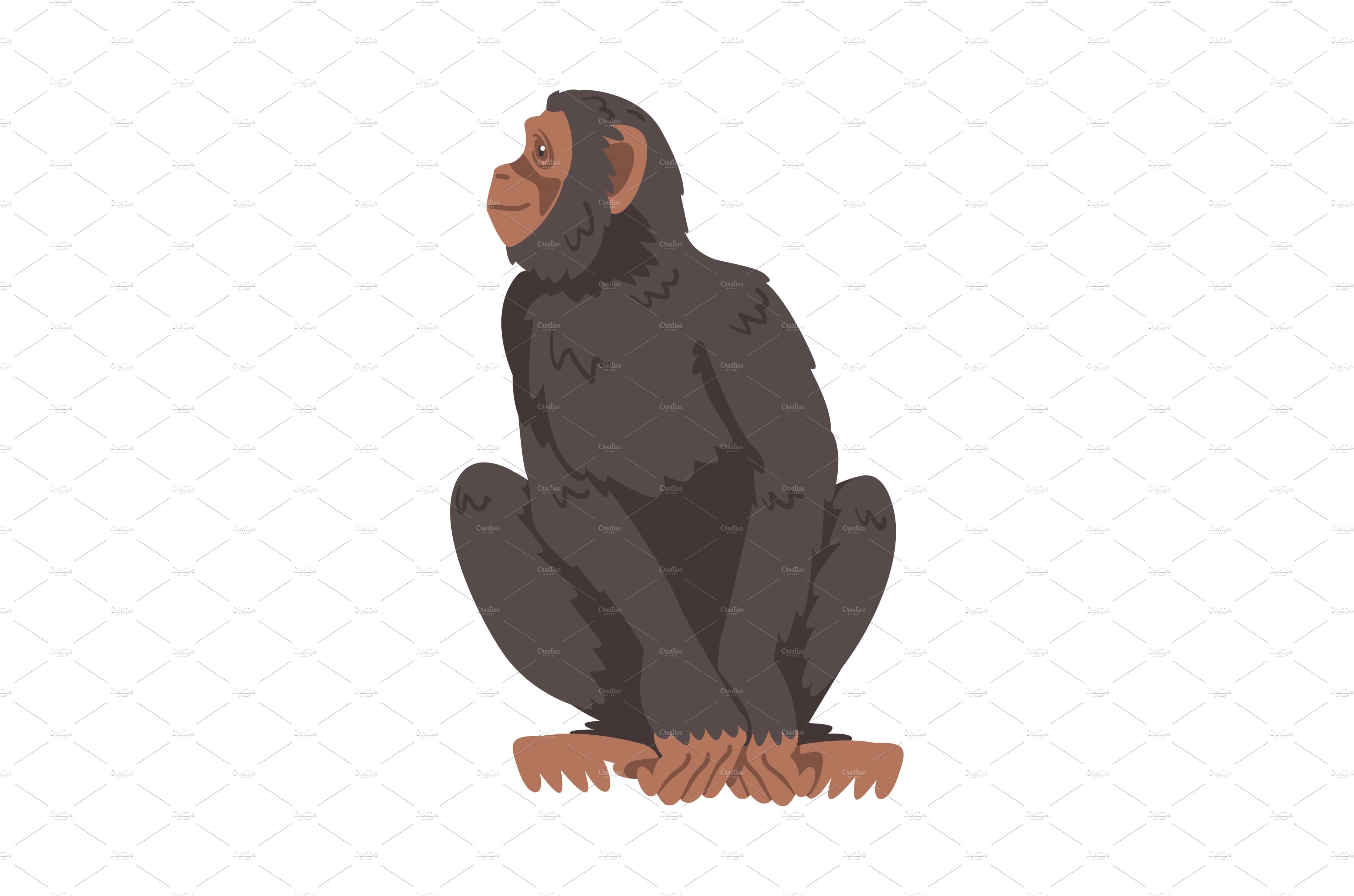 Chimpanzee Monkey as Great Ape cover image.