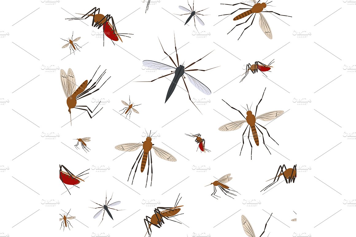 mosquito 06 similarcm 346