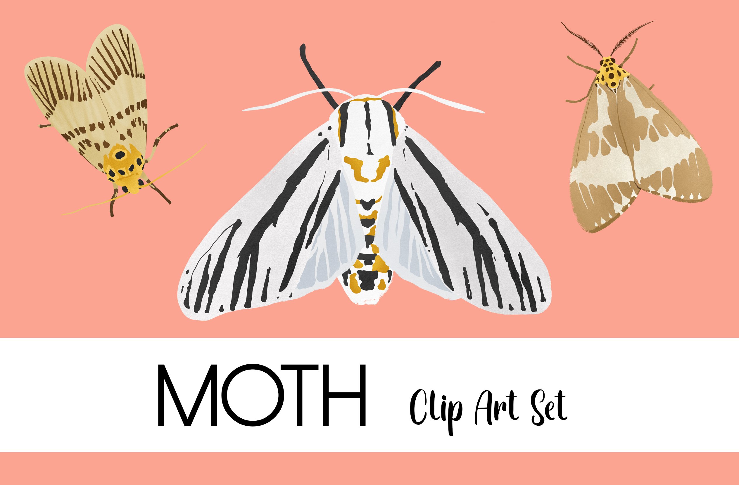 Moth Clip Art Set cover image.