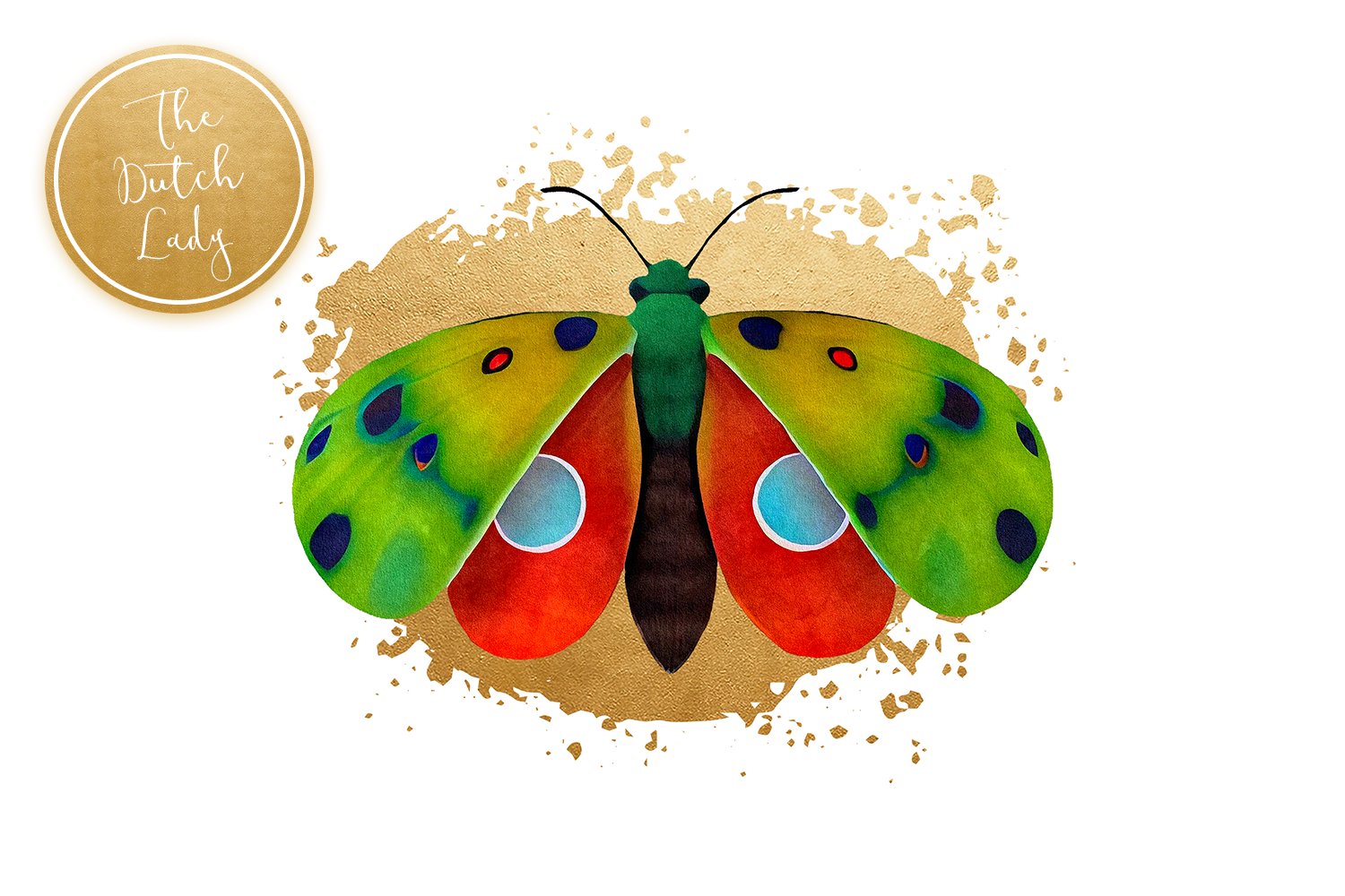 moth clipart set 418